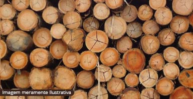 pontalete de madeira + Pontalete 3Ml Eucalipto + madeireira paulistinha