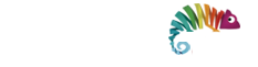 Webformas: Agência de Marketing Digital